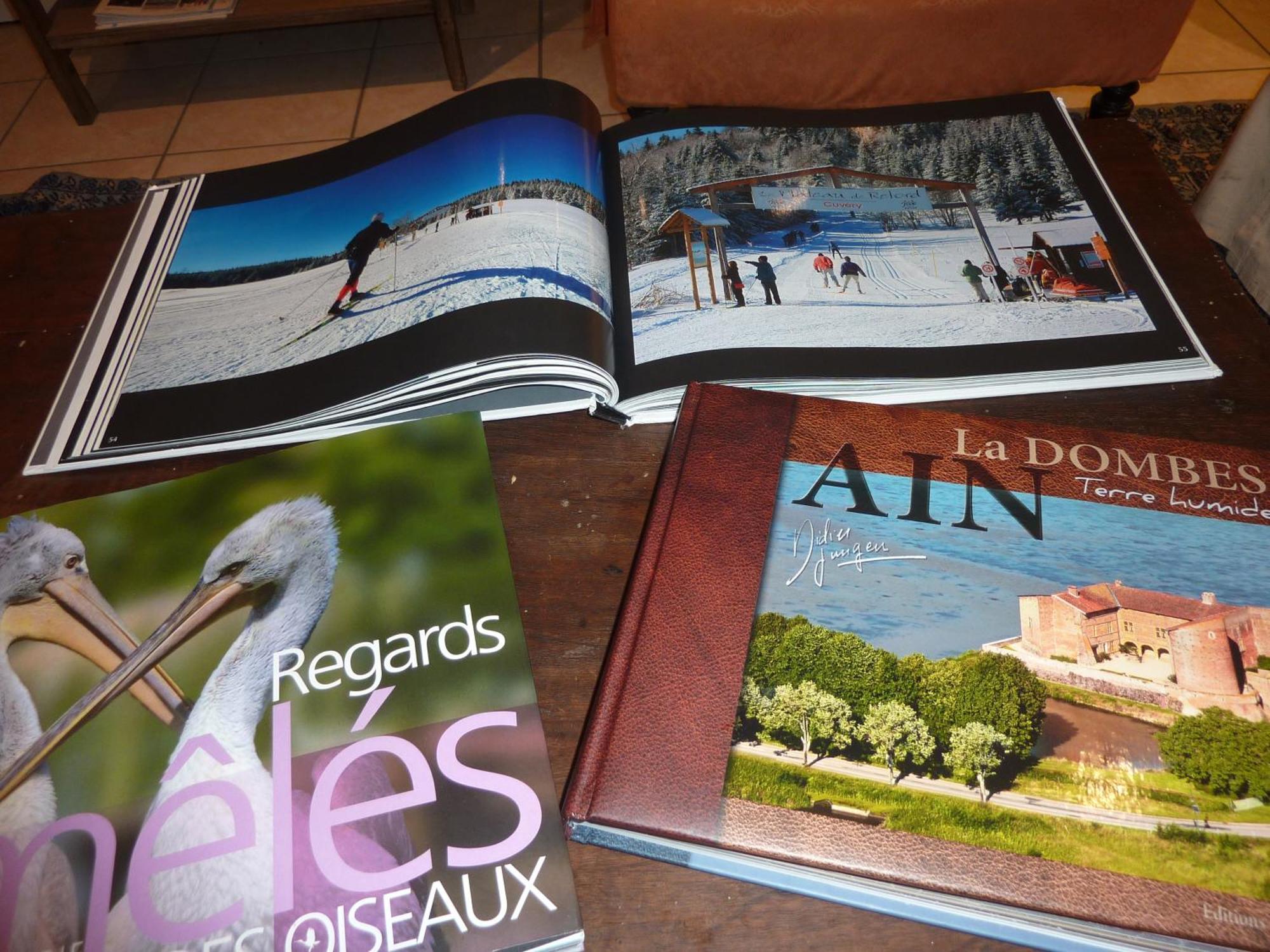 Lac'Hotel France Montréal La Cluse Dış mekan fotoğraf